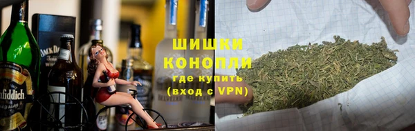 PSILOCYBIN Волосово